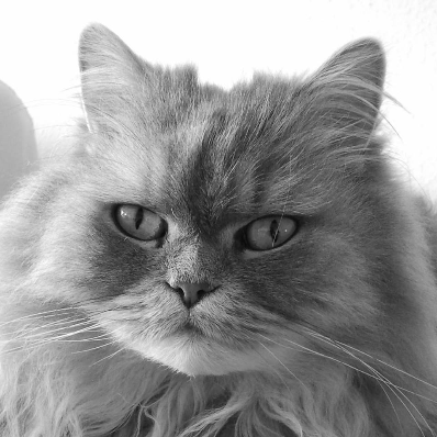 Jean M.