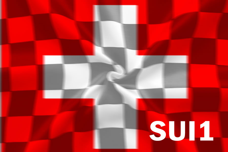 Logo Team SUI1